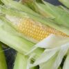 Maize - Image 2